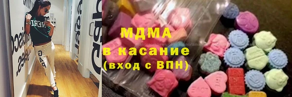 молекула духа Богданович