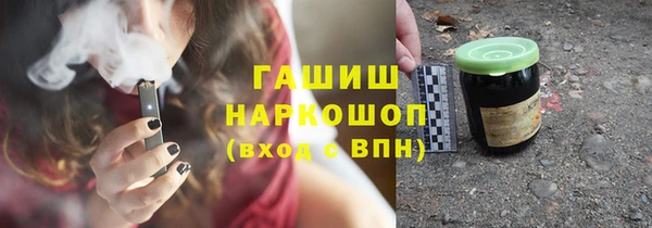 молекула духа Богданович