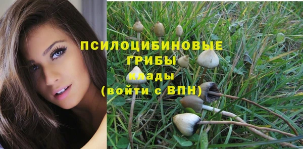 молекула духа Богданович