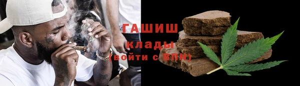 молекула духа Богданович