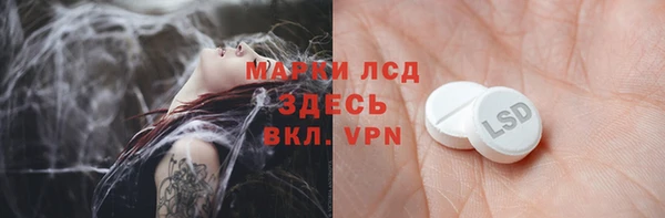 молекула духа Богданович