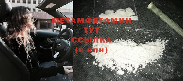 молекула духа Богданович