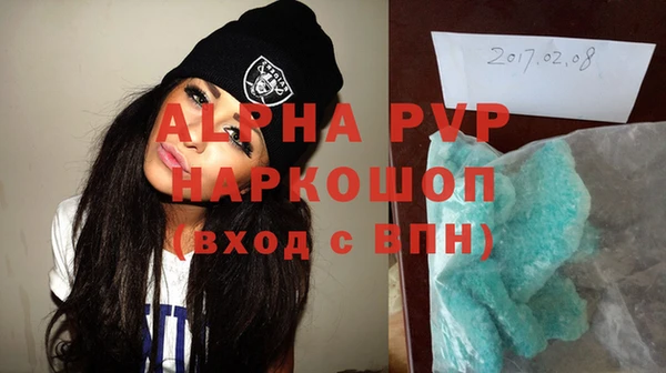 молекула духа Богданович