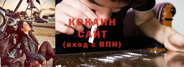 молекула духа Богданович